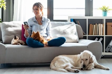 are golden retrievers friendly with cats?