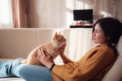 male vs. female cat behavior