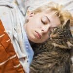 why do cats lay on your face at night?