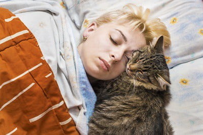 why do cats lay on your face at night?