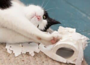 tearing shred unrolling
