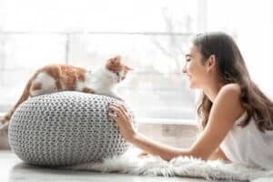 do domestic cats recognize their owners?