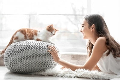 do domestic cats recognize their owners?