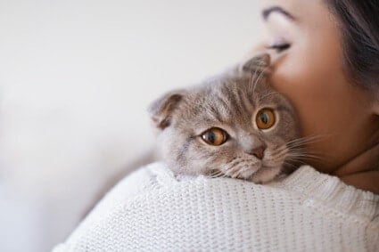 how long do cats recognize their owners?