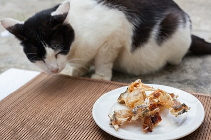 do cats like fish bones?