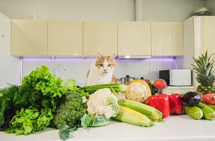 greens for indoor cats