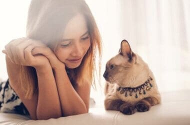 how much human interaction do cats need?
