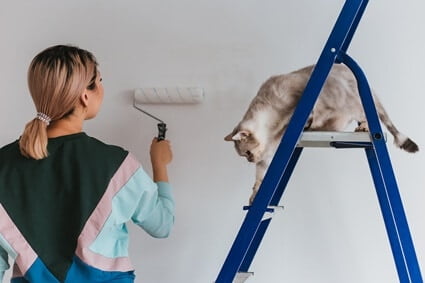 how to get paint off cat fur