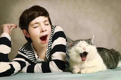 cat yawns when i yawn