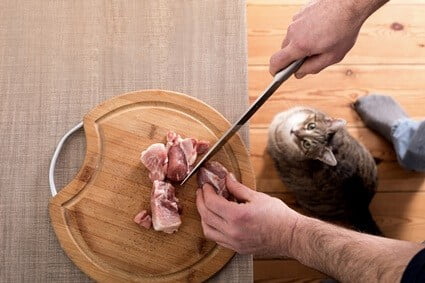 how to cook pork for cats
