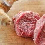 is it safe to feed cats pork?