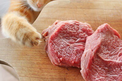 is it safe to feed cats pork?