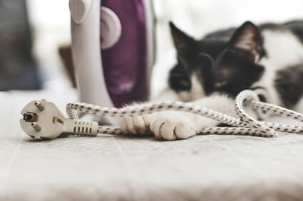 what can you put on cords to keep cats from chewing