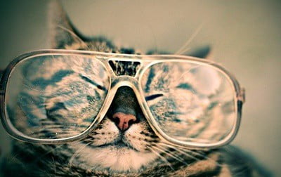 can cats have bad eyesight?