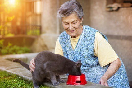 signs of dementia in older cats