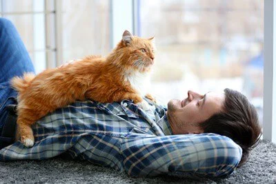 characteristics of guys who like cats