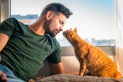 would you date a man with a cat?