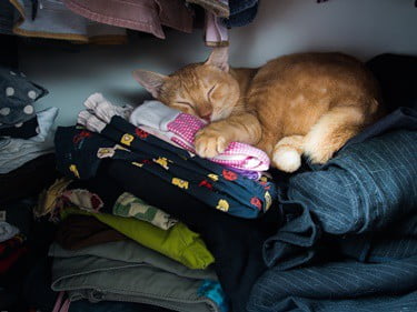 cat-likes-sleeping-on-my-dirty-clothes