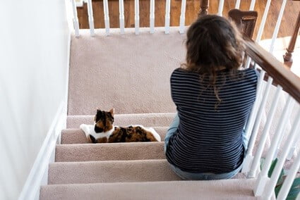 how to keep cat from scratching carpet on stairs