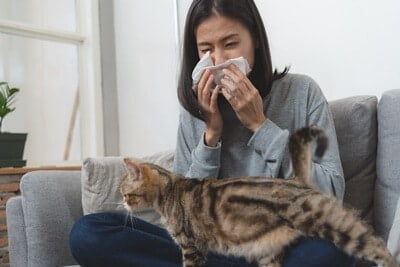 can you be allergic to one cat but not another?