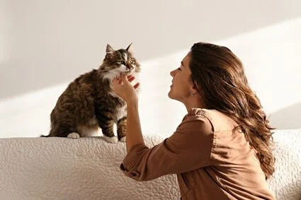 do cats miss their former owners?