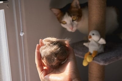 how can I help my cat pass a hairball?