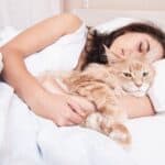where-should-cats-sleep?