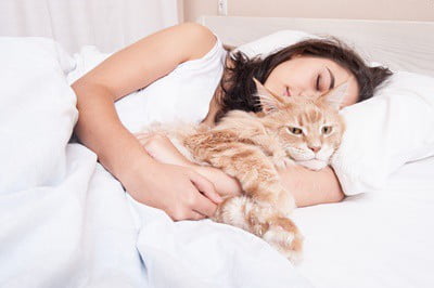 where-should-cats-sleep?