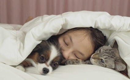 why do cats sleep on faces?