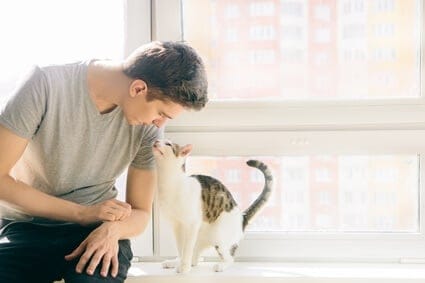 do cats recognize people's faces?