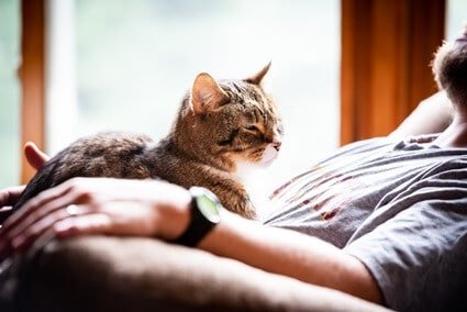 why does my cat sit on my husband's lap but not mine?