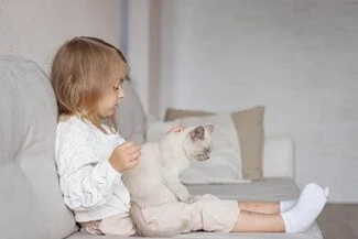 Are Burmese Cats Cuddly?
