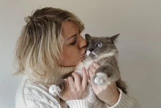 Are Siamese Cats Cuddly?