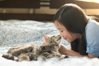 Do American Shorthair Cats Like to Cuddle?