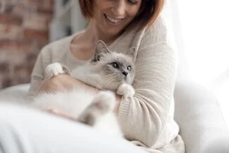 Do Birman Cats Like to Cuddle?