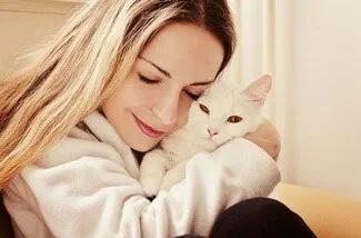 Do Persian Cats Like to Cuddle?