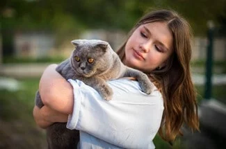 Do Scottish Fold Cats Like Cuddling?