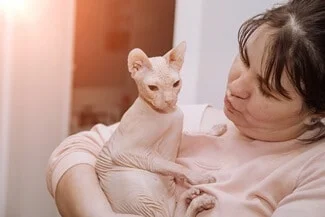 Do Sphynx Cuddle?