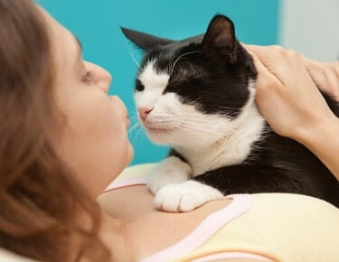 do cats think about eating their owners?