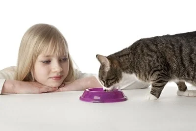 why do cats need you to watch them eat?