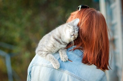 independent cat suddenly very affectionate