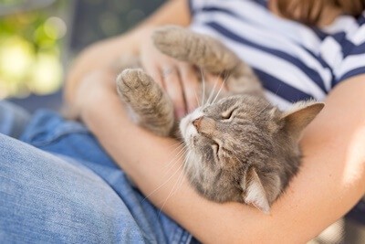 is cat purring voluntary or involuntary?