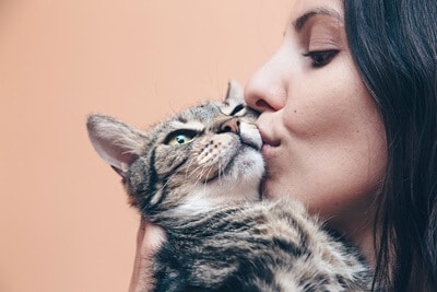 do cats know kisses mean love?