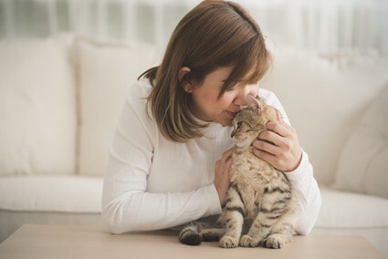 what do cats think when we kiss them?