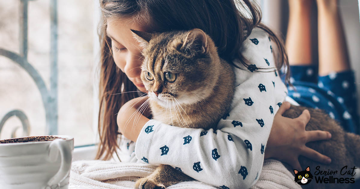 Girl hugging a cat